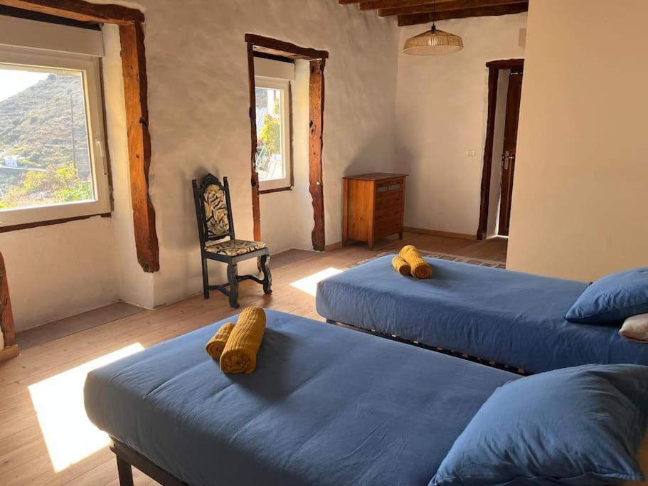Villa La Casa Del Aguacate Sabinosa Esterno foto